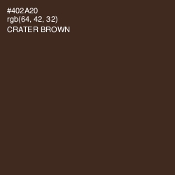 #402A20 - Crater Brown Color Image